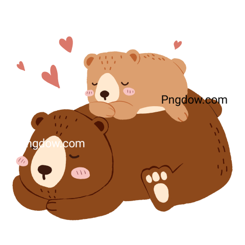 Bear - Pngdow - Millions of Transparent PNG Images For Free