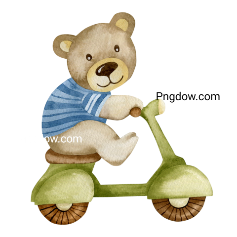 Teddy bear and transparent Background,Teddy bear png, (72)