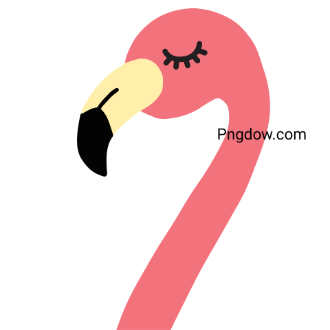 Flamingo Head Illustration