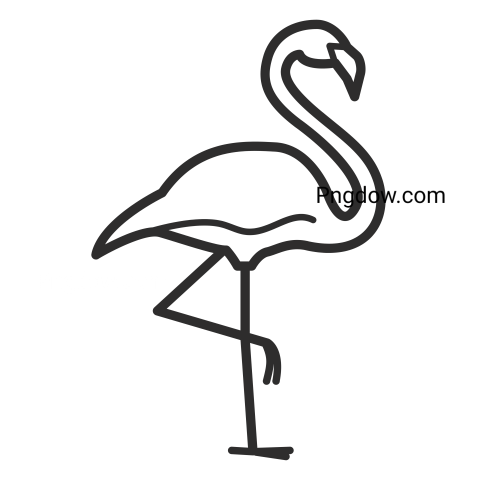 Flamingo PNG images for Free Download