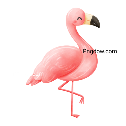 Flamingo illustration Watercolor style