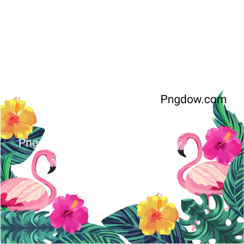 Tropical Flamingos Cartoon, transparent background for Free Download
