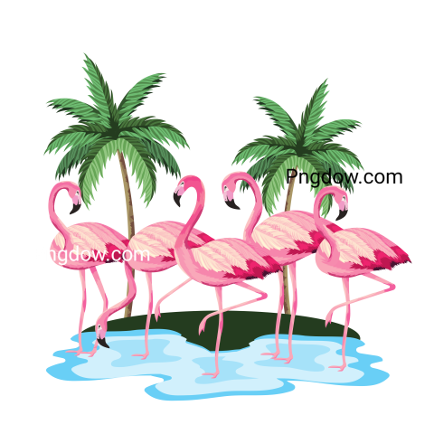 Tropical Flamingos Cartoon, for Free Download