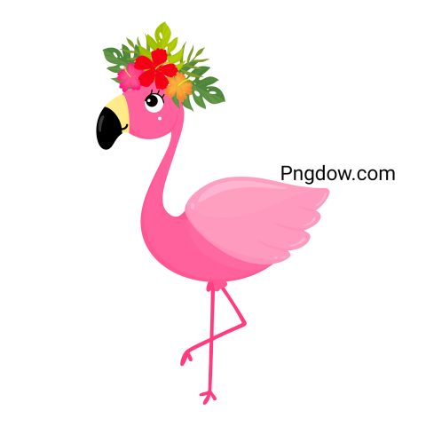 Pink Flamingo, Tropical birds