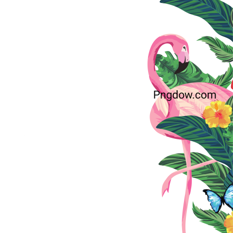 Tropical Flamingo Cartoon PNG transparent background for Free