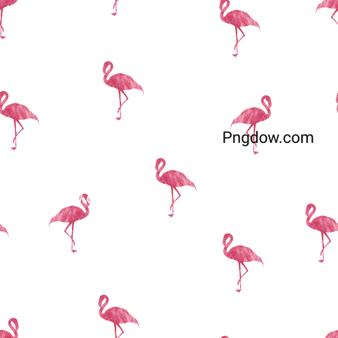 Flamingo seamless pattern, transparent background for Free