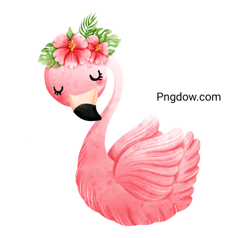 Pink flamingo, transparent background for Free