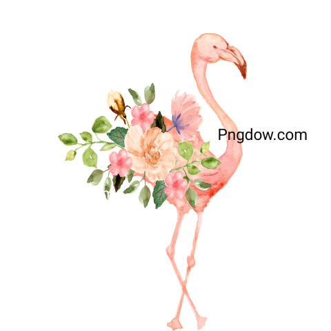 Watercolor summer flamingo bird with floral
