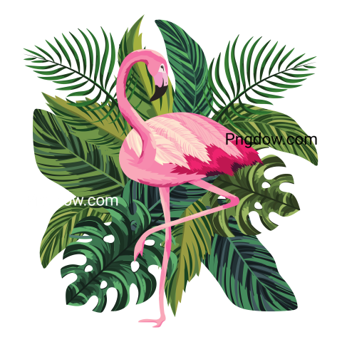 Tropical Flamingo Cartoon transparent background for free
