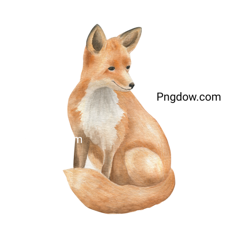 Fox Png image with transparent background, Fox, (6)
