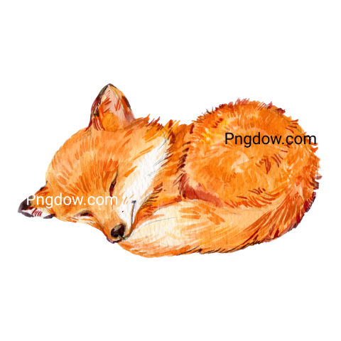 Fox Png image with transparent background, Fox, (9)
