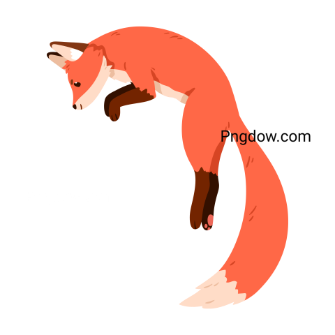 Fox Png image with transparent background, Fox, (11)