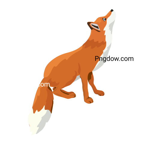 Fox Png image with transparent background, Fox, (16)