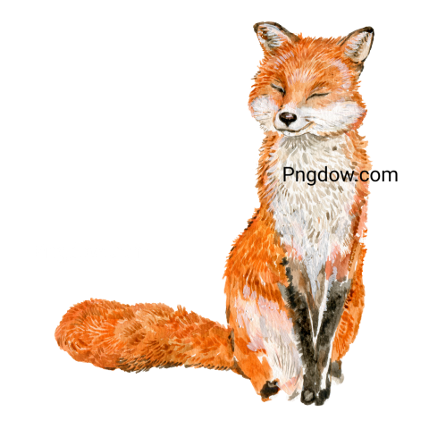 Fox Png image with transparent background, Fox, (12)