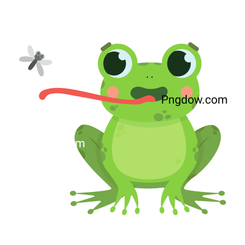 Frog Png image with transparent background, Frog, (19)