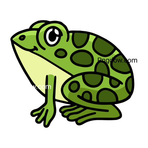 Frog Png image with transparent background, Frog, (14)