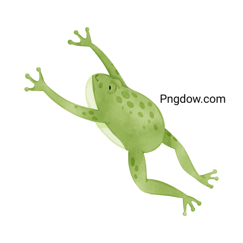 Frog Png image with transparent background, Frog, (17)