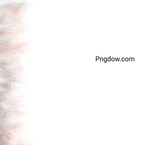 Fur Png image with transparent background, Fur, (22)