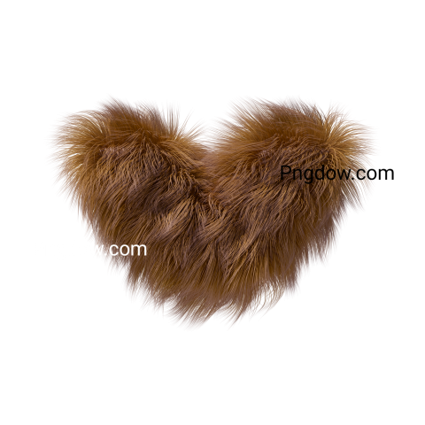 Fur Png image with transparent background, Fur, (21)