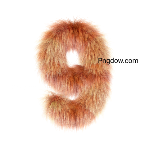 Fur Png image with transparent background, Fur, (10)