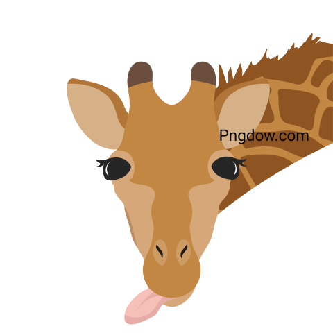 Free Png, Giraffe transparent Background, (18)