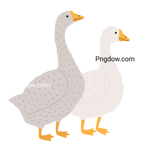 Free Png, Goose transparent Background, Goose image, (5)