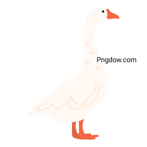 Free Png, Goose transparent Background, Goose image, (21)