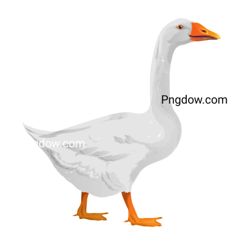 Free Png, Goose transparent Background, Goose image, (26)