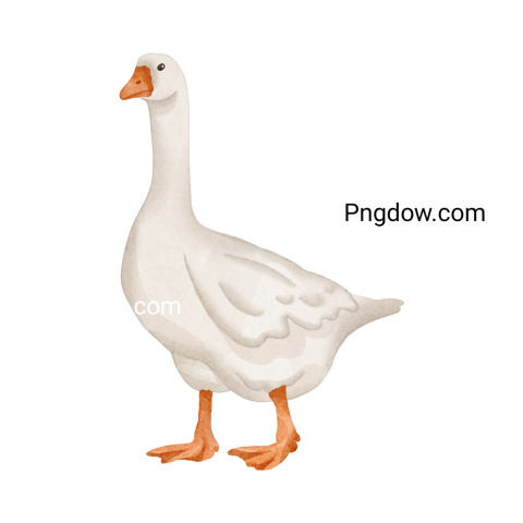 Free Png, Goose transparent Background, Goose image, (24)