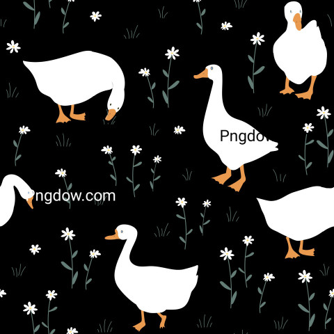 Goose image black background (2)