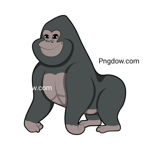 Gorilla Animal Illustration