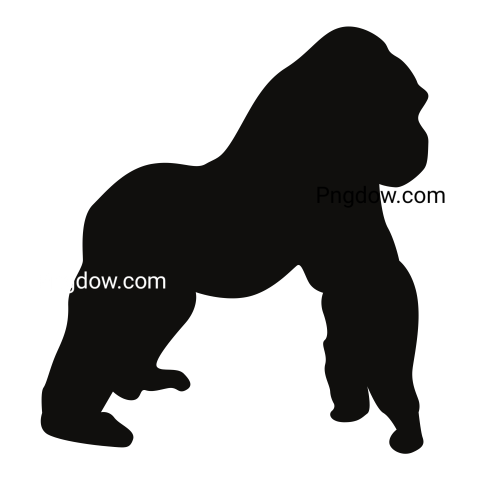 Silhouette of gorilla transparent PNG Image for Free