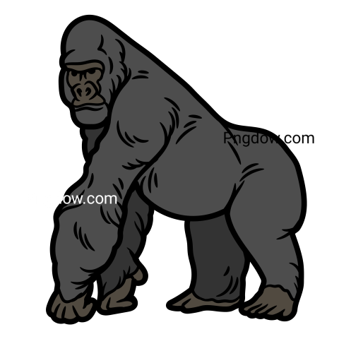 Gorilla PNG transparent images for Free