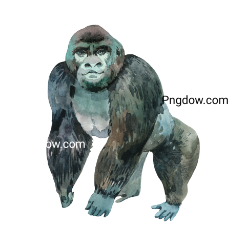 Watercolor gorilla transparent background image for Free