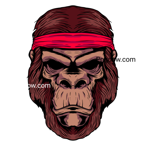Gorilla head transparent background image for Free