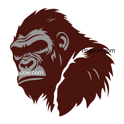 Cartoon vector gorilla animal transparent background image for Free (4)