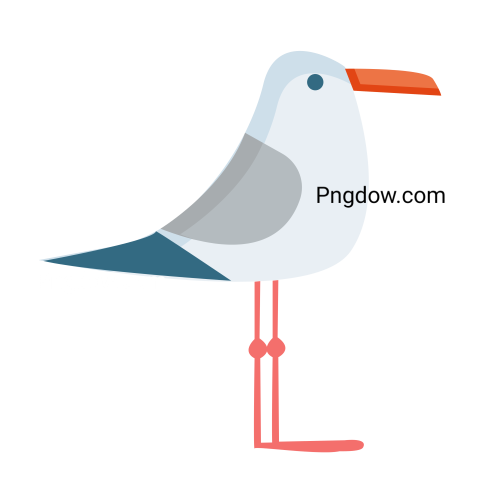 Free Png, Gull transparent Background, Gull image, (33)
