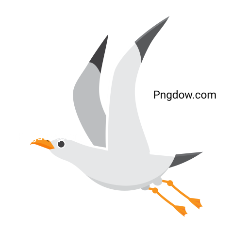 Free Png, Gull transparent Background, Gull image, (34)