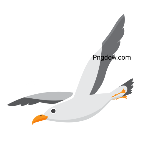 Free Png, Gull transparent Background, Gull image, (32)