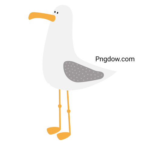 Free Png, Gull transparent Background, Gull image, (1)