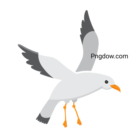 Free Png, Gull transparent Background, Gull image, (24)