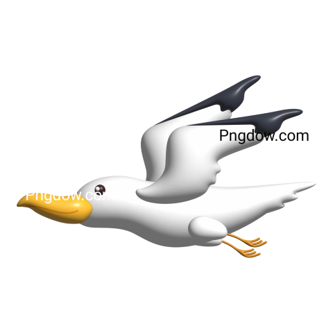 Free Png, Gull transparent Background, Gull image, (12)