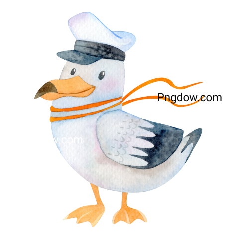 Free Png, Gull transparent Background, Gull image, (16)