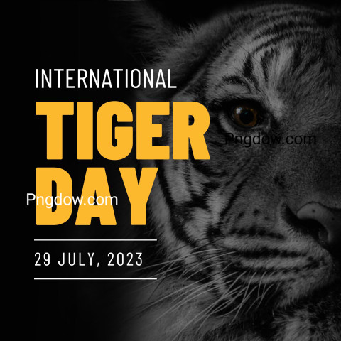 Black and Yellow Simple International Tiger Day Instagram Post