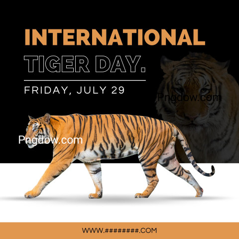 Black Orange Creative Minimalist International Tiger Day Event Celebration Instagram Post
