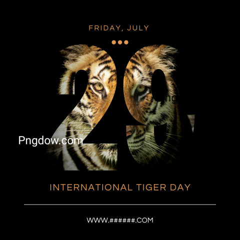 Black and Orange Creative Minimalist International Tiger Day Event Celebration Instagram Post