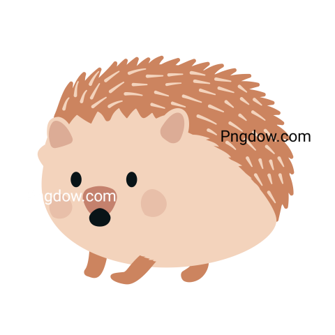 Get Your Free Hedgehog Transparent Background Image Now, (9)
