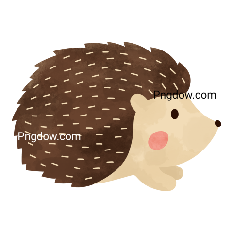 Get Your Free Hedgehog Transparent Background Image Now, (3)