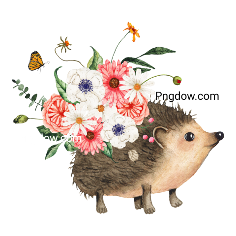 Watercolor wild animal little hedgehog decorated with flowers illustration