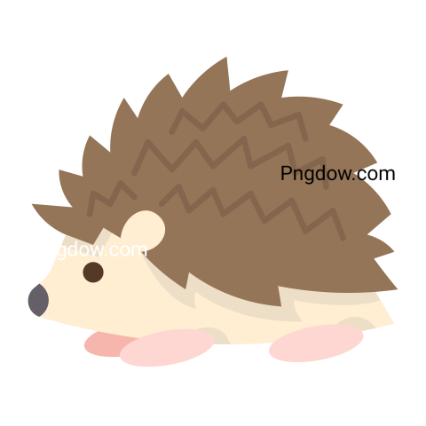 Get Your Free Hedgehog Transparent Background Image Now, (19)